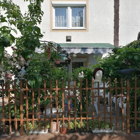Homestay Ildiko Vendeghaz *