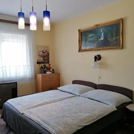 Homestay Ildiko Vendeghaz *