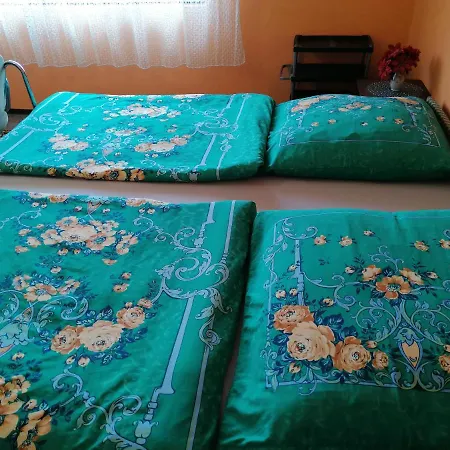 Gazde/Camere de închiriat Ildiko Vendeghaz *
