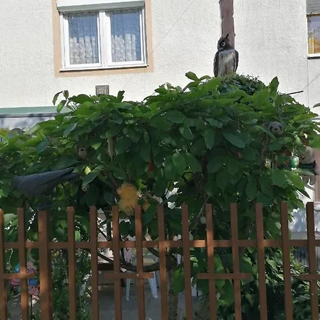 Ildiko Vendeghaz Homestay