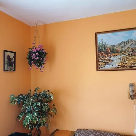 Homestay Ildiko Vendeghaz