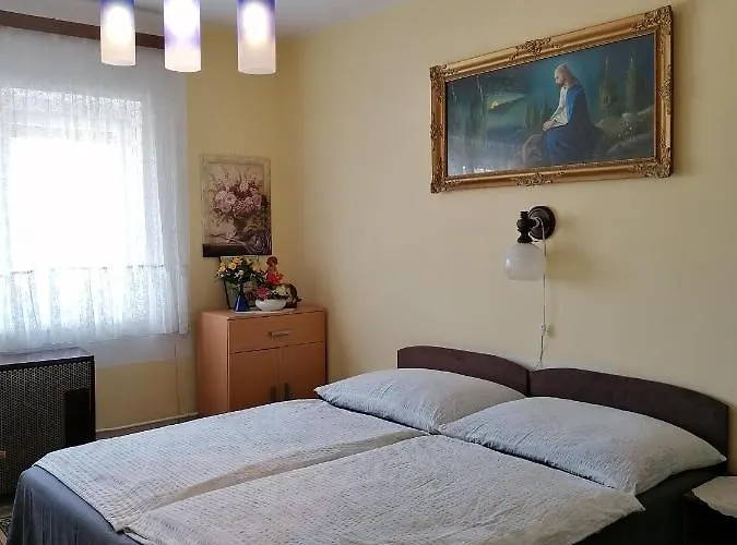 Pansiyon Ildiko Vendeghaz *
