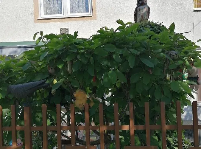 Ildiko Vendeghaz Pansiyon