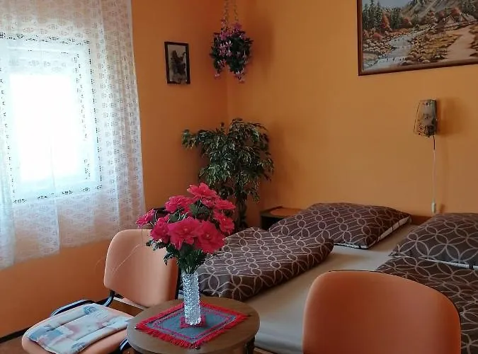 Ildiko Vendeghaz Hévíz